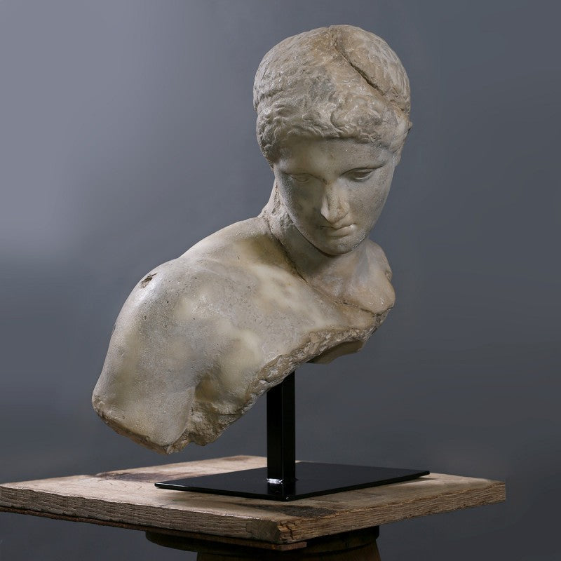 Busto Le Discophore