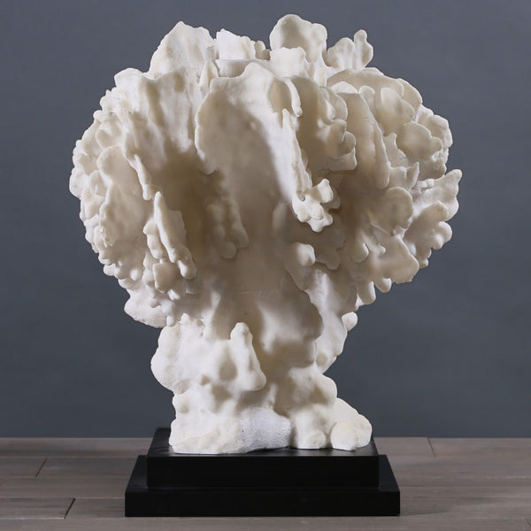 Coral Eponge