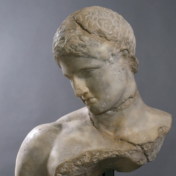 Busto Le Discophore