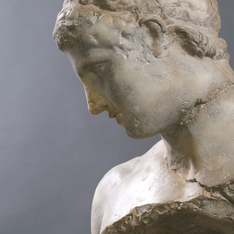 Busto Le Discophore