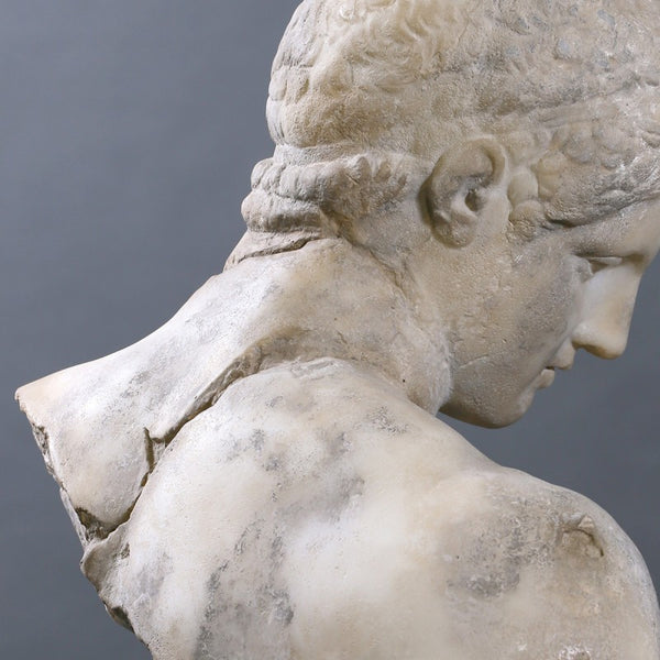 Busto Le Discophore