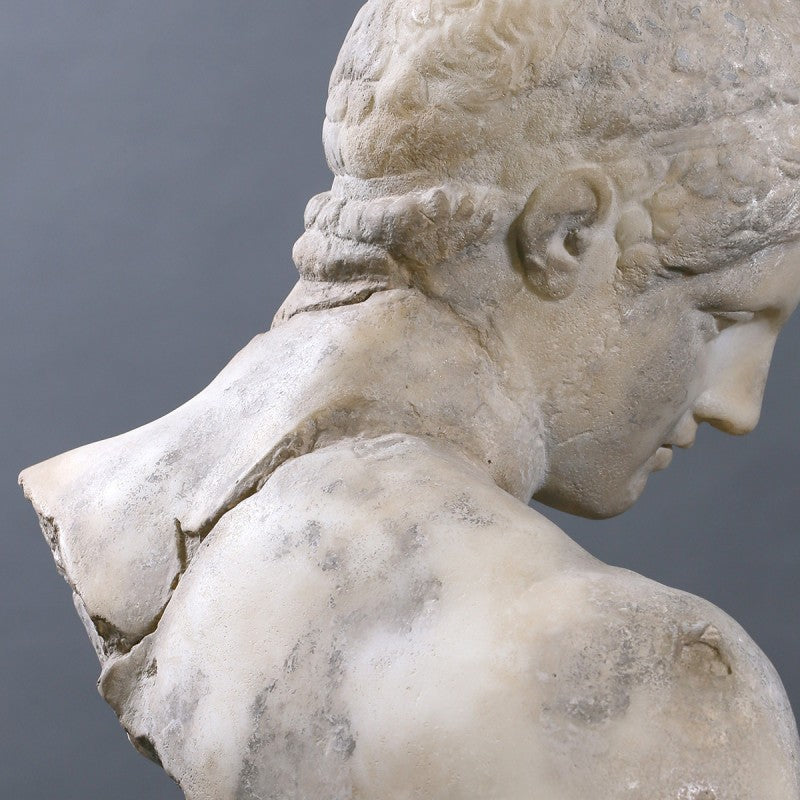 Busto Le Discophore