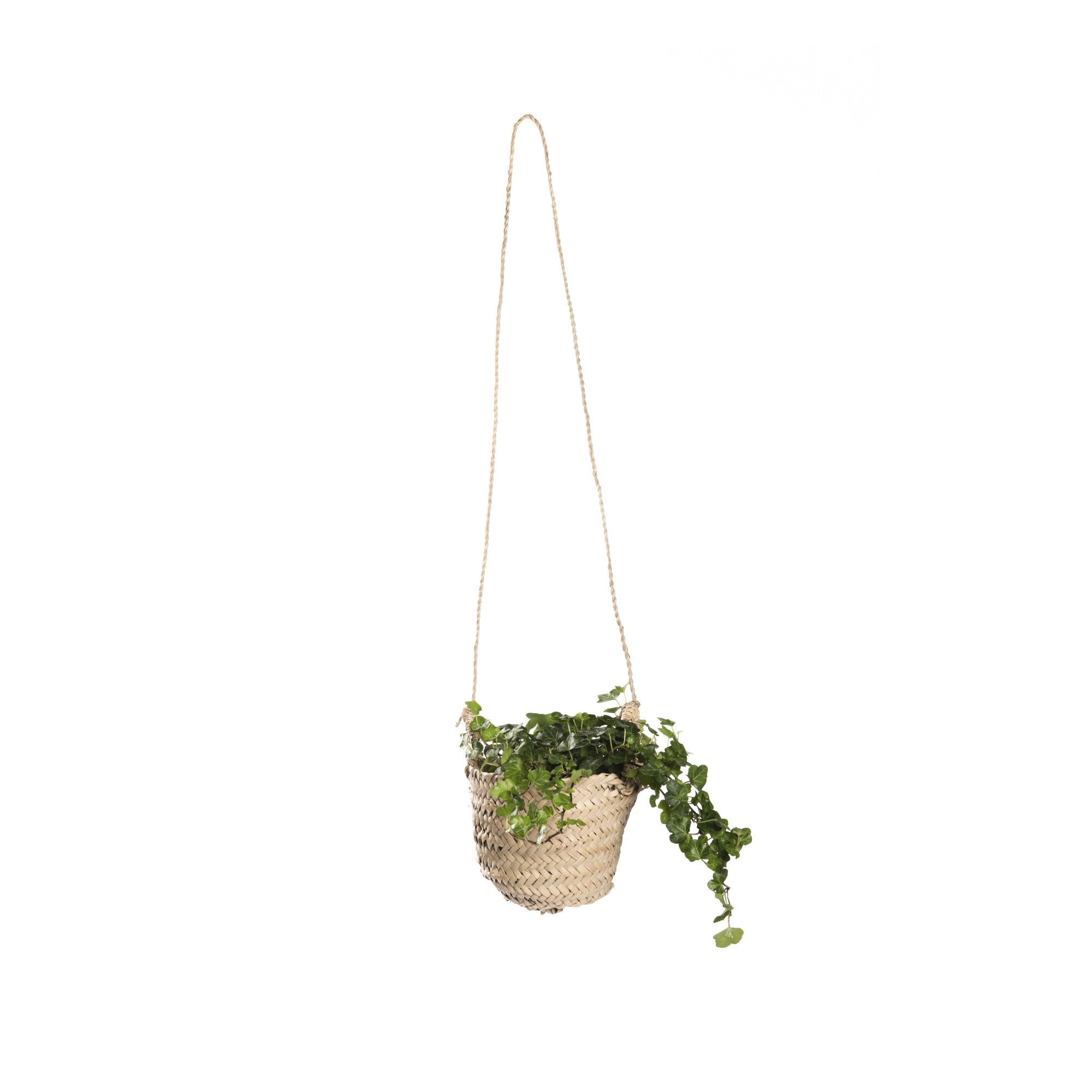 Cesta para colgar en hoja de palmera