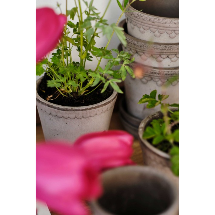 Maceta  Gris Kobenhavner 14 cm de Bergs Potter - vista 8 | Nomad Interiors